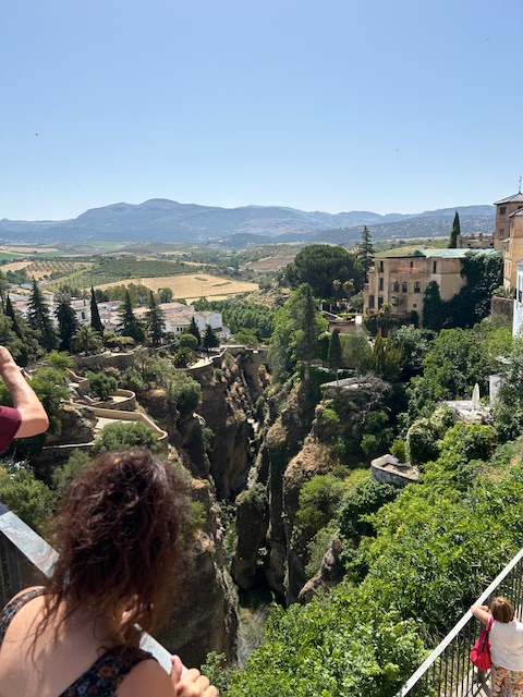 Vu du haut des gorges du Guadalevin, Ronda, Andalousie, Espagne